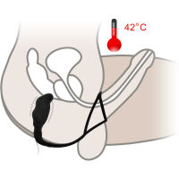 VYHŘÍVANÝ DO 42°C MASAŽÉR PROSTATY ANALPLUG S KROUŽKEM NA PENIS A VARLATA - 7 INTENZIVNÍCH FUNKCÍ  - 78294383 - 4