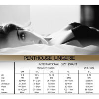 PENTHOUSE GO HOTTER -EROTICKÉ SÍŤOVANÉ BODY S ODHALENÝMI ZÁDY - 74191662 - 5
