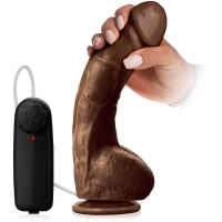 ROTAČNÍ VIBRÁTOR NA PŘÍSAVCE + OVLADAČ - 72981102 - 3