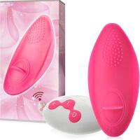 VIBRÁTOR DO KALHOTEK MASAŽÉR KLITORISU 10 FUNKCÍ  NA DÁLKOVÉ OVLÁDÁNÍ  - 71581278 - 3