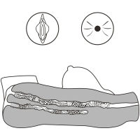 ŽENSKÉ TORZO MĚKKÁ PANNA REALISTICKÝ MASTURBÁTOR S VAGÍNOU A ANUSEM- 78112750 - 3